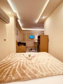 El mansour hotel apartmen 91 - Mansoura - 6