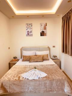 El mansour hotel apartmen 91 - Mansoura - 7