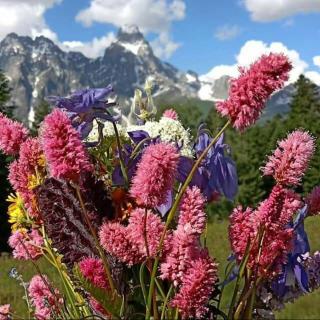 Guest house-Lile - Mestia - 5