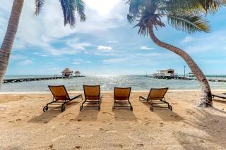 Mango 10 at Caribe Island Gold Standard Certified - San Pedro - 6
