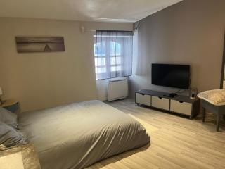 Triplex en Cévennes - Saint-Jean-du-Gard - 5