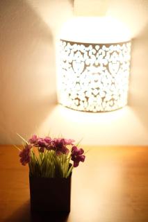 B&B Belvedere - 8