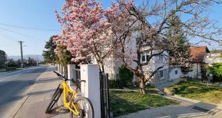 Charming Cottage w Terrace - 9