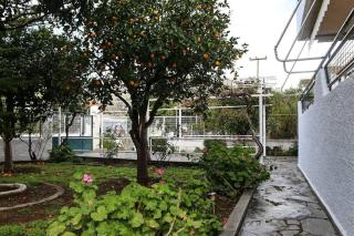 Nice house in Euboea - Politika - 5