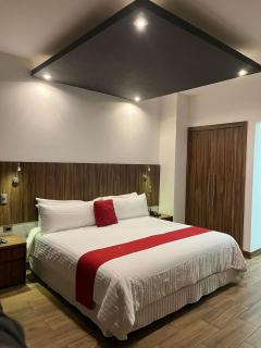 Zújmú Business Boutique Hotel - Aguascalientes - 2