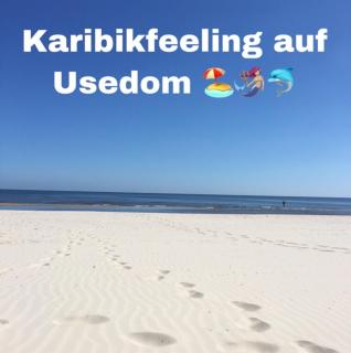 Ferienhaus mit Terrasse - Insel Usedom - Trassenheide - 1