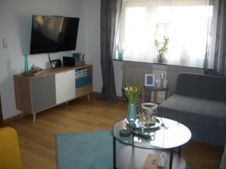 Ferienwohnung RheinSpaziert - Dellhofen - 9
