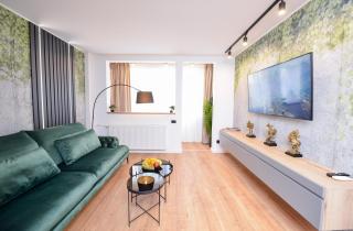 Star Dust - Exclusive One Bedroom - Bucarest - 8