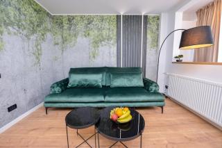 Star Dust - Exclusive One Bedroom - Bucarest - 7