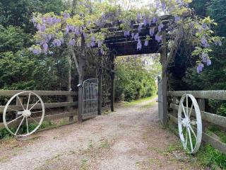 Relaxing at acreage farmhouse - 9