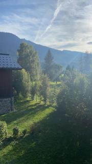 Three bedroom Apartment, Samoens, Grand Massif - 8