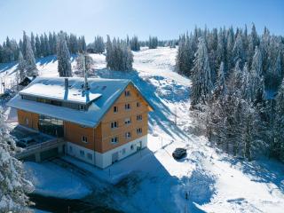 Wanderlaub am Feldberg- moderne Fewo Passhöhe - Feldberg - Familienurlaub - Hochschwarzwaldcard - Feldberg - 0