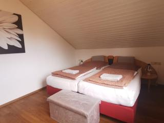 Ferienwohnung Magnolie in Langenargen - Langenargen - 9
