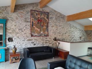 Loft vue montagne - Rigarda - 5