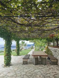 Lux Villa Provence - Budva - 5