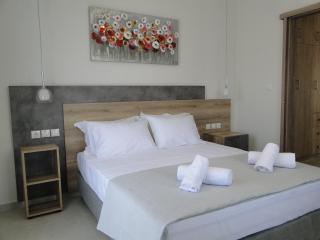 Chrysanthe's Apartments No1 - Poros - 2