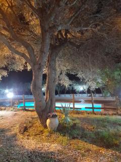 Agriturismo Palas De Serra Country Resort - Onifai - 2