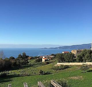 F3 80m², vue sur mer. Arrivée possible en semaine - Calcatoggio - 9