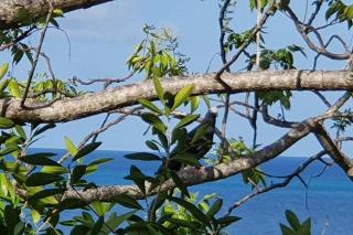 Bellavista - Blue Lizard Studio - Providencia - 6