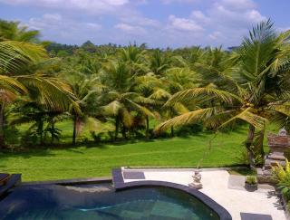 Dewa House Bisma - Ubud - 9
