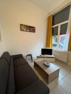appart cosy 2P- proche métro, Lille à 15 min - Roubaix - 5