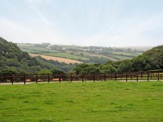 Prideaux Cottage - Luxulyan - 9