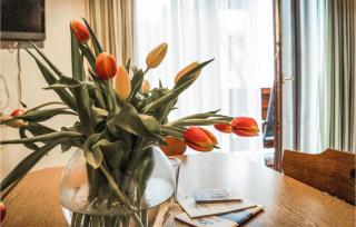 Schoene Ferienwohnung-Niederau - Niederau - 6
