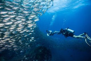 Jamahkiri Dive Resort & Spa - Koh Tao - 8