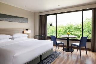 Izu Marriott Hotel Shuzenji - Izu - 1