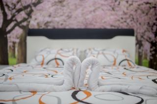 Apartment LUX 2 - Tuzla - 9