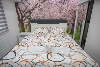 Apartment LUX 2 - Tuzla - 5