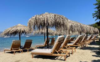 Hotel Pavlou - Poros - 4