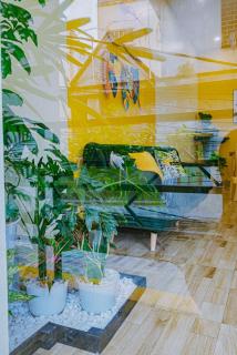 D' Eco Homestay - Ha Long - 0