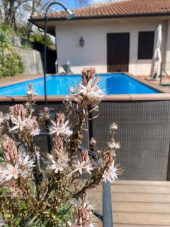 Villa Maria - Zafferana Etnea - 5