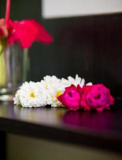 Hotel Prem Villas Pushkar - Pushkar - 8