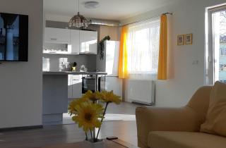 Rodinný apartmán Lucie v blízkosti Wellness hotelu ve Frymburku - Frymburk - 7
