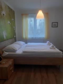 Rodinný apartmán Lucie v blízkosti Wellness hotelu ve Frymburku - Frymburk - 5