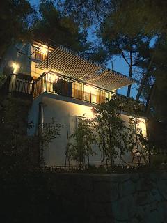 Villa V, 4-star 2-floor 1-apartment seaside property with great outdoors - 3