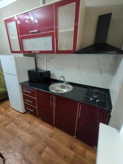 2 комнатная Нурсат вдоль Аллеи - 1