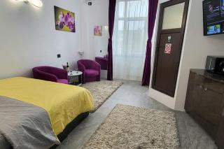 Garsoniera centru vechi English park - 4