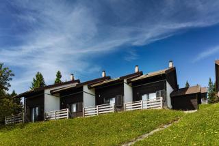 Bungalows Rogla - Zreče - 0