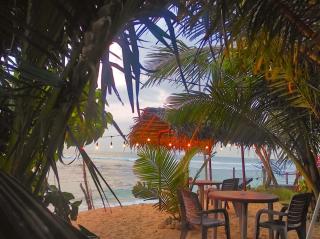 Blue Corals Beach Bungalow - Madihe East - 7