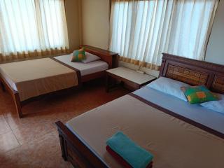 Nyoman House Ubud - Ubud - 3