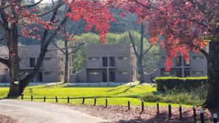 Dragon Peaks Mountain Resort - 4