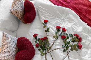 Romantic Retreat with Garden - Melbourne - 7