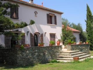 Domaine Le Clos des Oliviers - Sorbo-Ocagnano - 3
