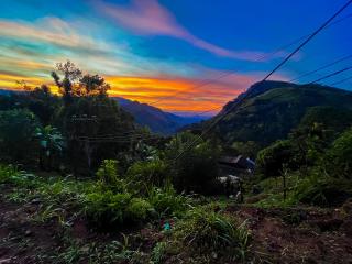 Ella Happy View Homestay - Ella - 5