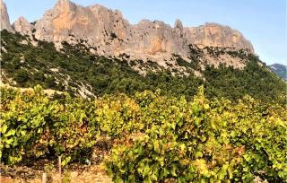 Stunning Apartment In Mornas With Wifi - 7