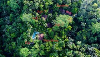 Villa Mahadevi Jungle Retreat Joglo 3 - Ubud - 9