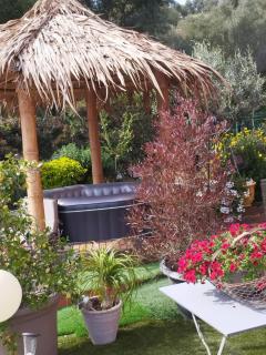 Le petit atelier - Bormes-les-Mimosas - 9